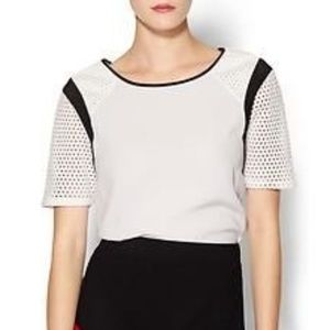 Daniel Rainn mesh sleeve top